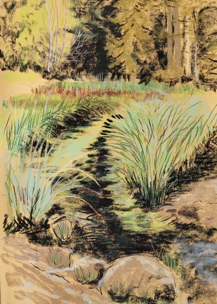 Grassy Stream