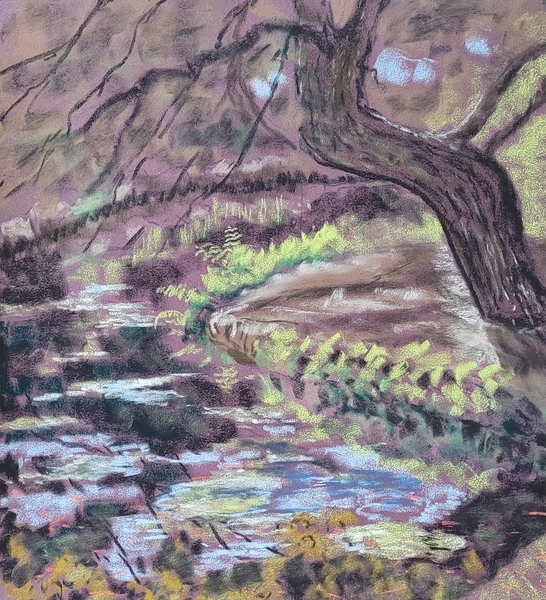 Pond at Hatley Park Gardens