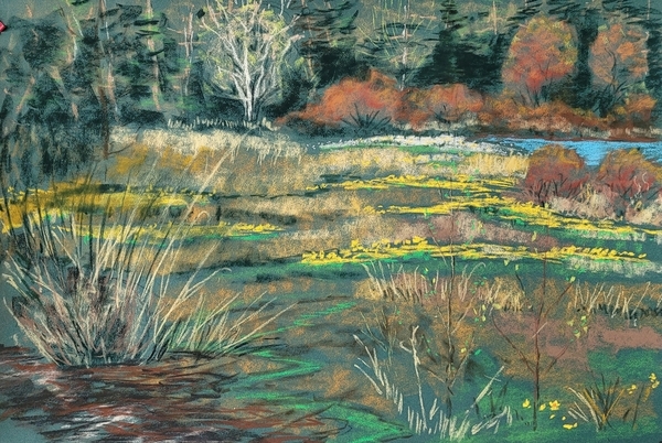 Spring Shadows